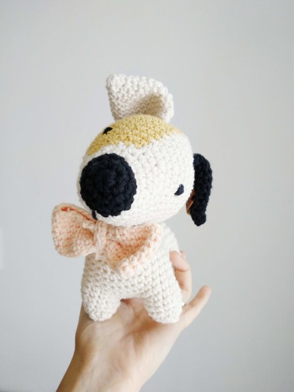 Daniel Jack Russell